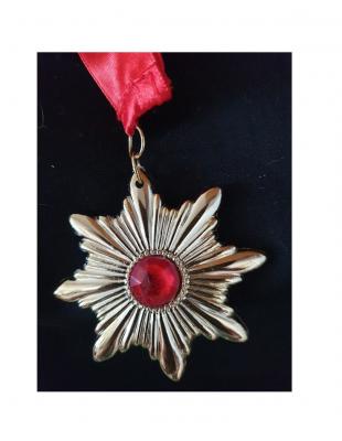 S1476 goldfarbend Damen Herren Stern Amulett Halsband - 1