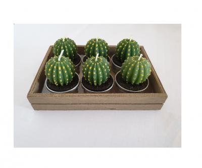 GI30 grün Kakteen Teelichter Set in Box Kakteen-Teelicht - 1