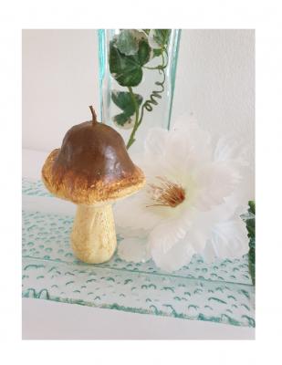 GI37 braun Pilz Kerze Geschenkartikel
