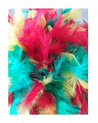 N6 weiß mit Silberborte Marabu weiß und rot-grün-gelb-mix Regenbogen Boa Funkenhut - 4