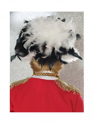 N10-53-54 schwarz mit Silberborte Marabu weiß und schwarz-weißer Boa Funkenhut Gr.53-54 - 3