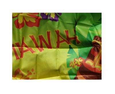 Fu84242 grün-bunt Aloha Hawaii Flag Deko Banner zum Aufhängen - 1