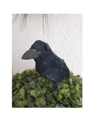 Fu54723 schwarz Kleiner Deko Rabe mit Federn - 1