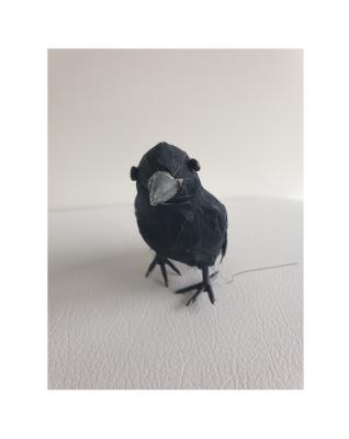 Fu54723 schwarz Kleiner Deko Rabe mit Federn - 2